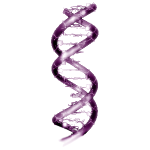 DNA
